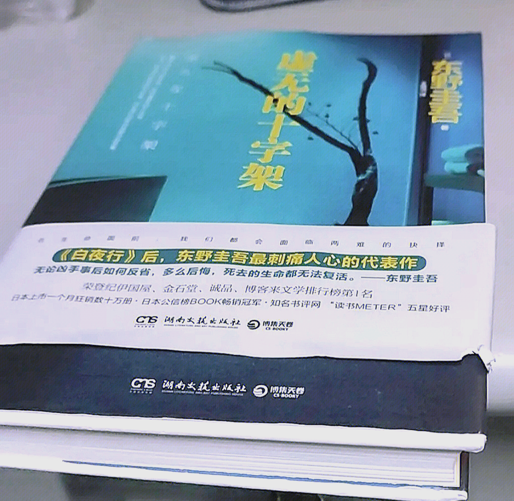 关于虚无的十字架故事梗概