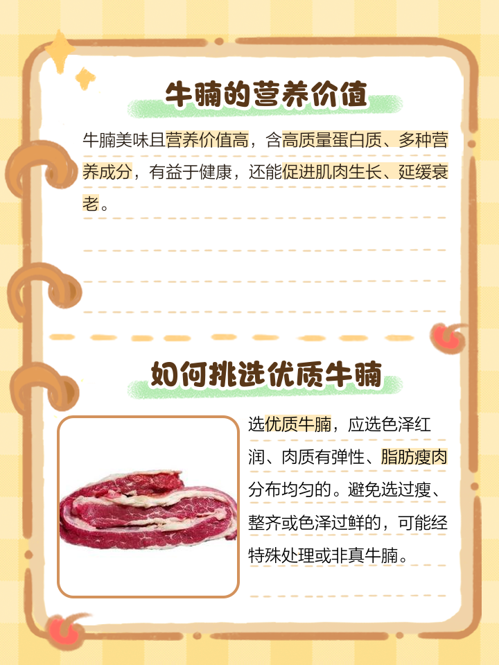 什么是牛腩牛腩长在牛的那里的