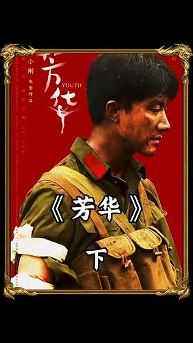 芳华电影内容简介是什么